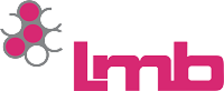 LMB
